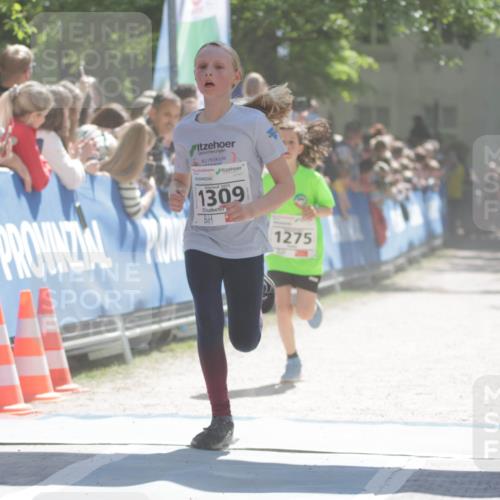 17.05.2025 - Störlauf H.Heesch http://msf.ph/oto/7898204 17.05.2025 14:43:26 Ziel 2025, 1309, 1275 meine-sportfotos.de