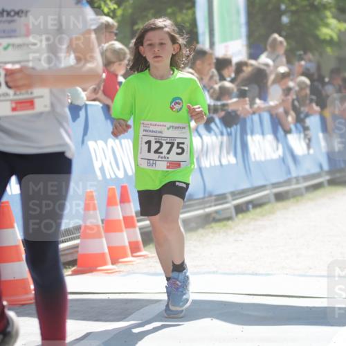 17.05.2025 - Störlauf H.Heesch http://msf.ph/oto/7898221 17.05.2025 14:43:27 Ziel 13, 2025, 1275 meine-sportfotos.de