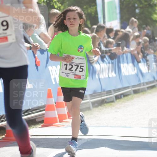 17.05.2025 - Störlauf H.Heesch http://msf.ph/oto/7898223 17.05.2025 14:43:28 Ziel 309, 2025, 1275 meine-sportfotos.de