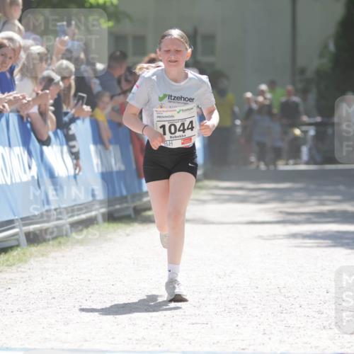 17.05.2025 - Störlauf H.Heesch http://msf.ph/oto/7898237 17.05.2025 14:43:34 Ziel 202, 1044 meine-sportfotos.de