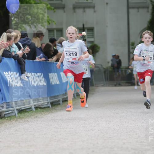 17.05.2025 - Störlauf H.Heesch http://msf.ph/oto/7898313 17.05.2025 14:57:31 Ziel 1319, 3 meine-sportfotos.de