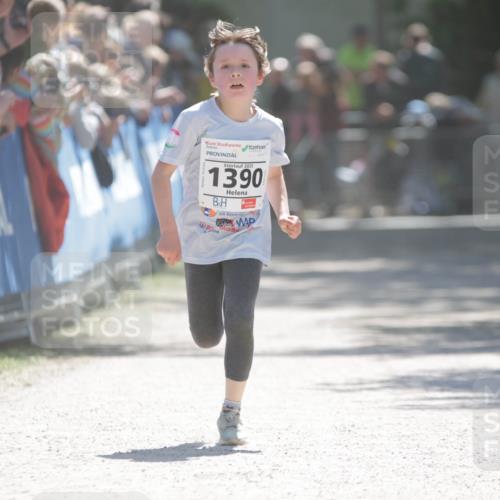 17.05.2025 - Störlauf H.Heesch http://msf.ph/oto/7898409 17.05.2025 14:44:02 Ziel 2025, 1390 meine-sportfotos.de