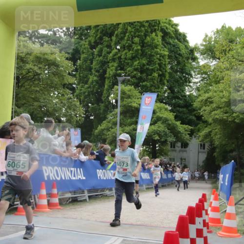 17.05.2025 - Störlauf H.Heesch http://msf.ph/oto/7898535 17.05.2025 13:16:46 Ziel 3, 6073, 6065 meine-sportfotos.de