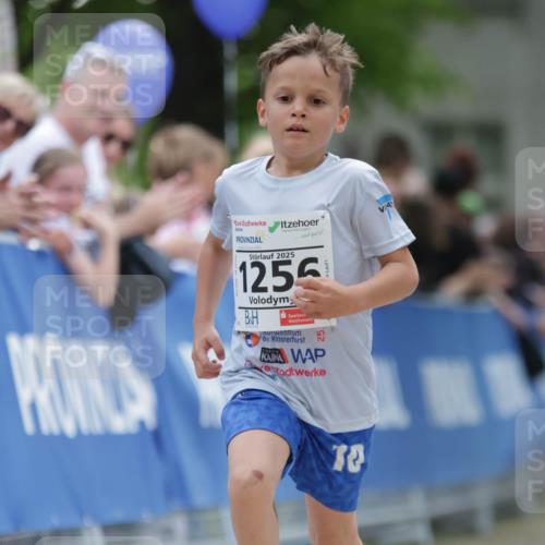17.05.2025 - Störlauf H.Heesch http://msf.ph/oto/7898591 17.05.2025 14:58:22 Ziel 2025, 1255, 5, 2, 33 meine-sportfotos.de