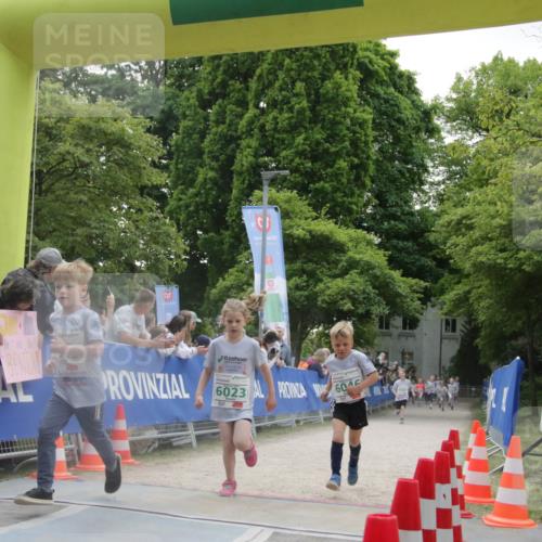 17.05.2025 - Störlauf H.Heesch http://msf.ph/oto/7898597 17.05.2025 13:17:00 Ziel 6023 meine-sportfotos.de