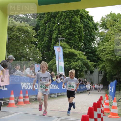 17.05.2025 - Störlauf H.Heesch http://msf.ph/oto/7898604 17.05.2025 13:17:00 Ziel 5013, 6046 meine-sportfotos.de