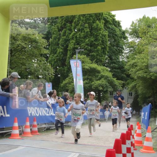 17.05.2025 - Störlauf H.Heesch http://msf.ph/oto/7898684 17.05.2025 13:17:28 Ziel 3, 6048, 6004, 1365 meine-sportfotos.de