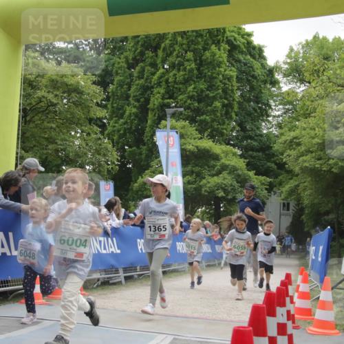 17.05.2025 - Störlauf H.Heesch http://msf.ph/oto/7898691 17.05.2025 13:17:29 Ziel 6048, 6004, 1365 meine-sportfotos.de