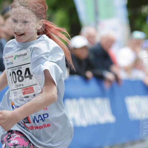 17.05.2025 - Störlauf H.Heesch http://msf.ph/oto/7898922 17.05.2025 15:00:34 Ziel 2025, 1084, 2 meine-sportfotos.de