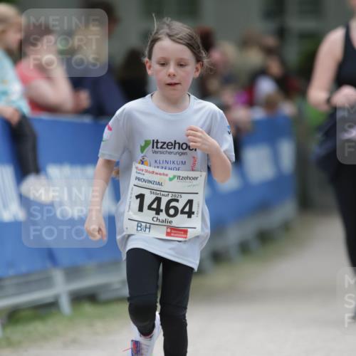 17.05.2025 - Störlauf H.Heesch http://msf.ph/oto/7898976 17.05.2025 15:01:02 Ziel 2025, 1464 meine-sportfotos.de