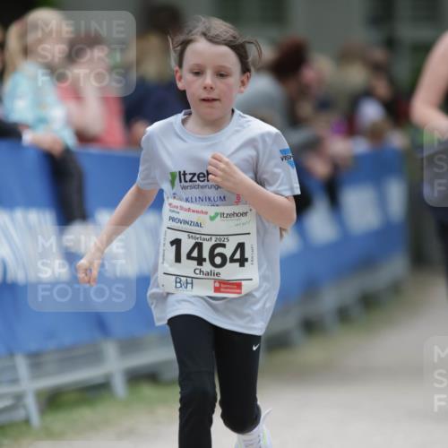 17.05.2025 - Störlauf H.Heesch http://msf.ph/oto/7898982 17.05.2025 15:01:02 Ziel 2025, 1464 meine-sportfotos.de