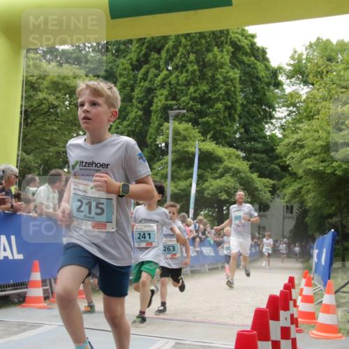 17.05.2025 - Störlauf H.Heesch http://msf.ph/oto/7899027 17.05.2025 13:42:19 Ziel 215, 241 meine-sportfotos.de