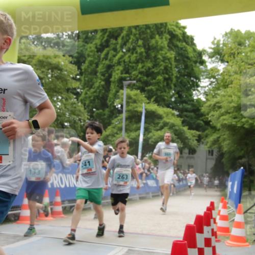 17.05.2025 - Störlauf H.Heesch http://msf.ph/oto/7899030 17.05.2025 13:42:20 Ziel 2025, 215, 133, 241, 263 meine-sportfotos.de