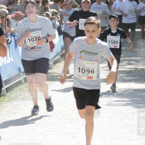 17.05.2025 - Störlauf H.Heesch http://msf.ph/oto/7899052 17.05.2025 14:45:54 Ziel 1177, 1023, 11, 1096, 1585 meine-sportfotos.de