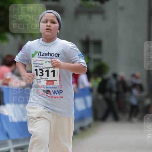 17.05.2025 - Störlauf H.Heesch http://msf.ph/oto/7899121 17.05.2025 15:02:00 Ziel 2025, 1311, 25 meine-sportfotos.de