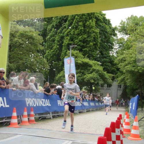 17.05.2025 - Störlauf H.Heesch http://msf.ph/oto/7899239 17.05.2025 13:43:58 Ziel 333, 25 meine-sportfotos.de