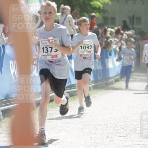 17.05.2025 - Störlauf H.Heesch http://msf.ph/oto/7899288 17.05.2025 14:46:38 Ziel 1099, 1375, 015 meine-sportfotos.de