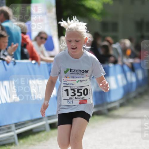 17.05.2025 - Störlauf H.Heesch http://msf.ph/oto/7899372 17.05.2025 15:04:49 Ziel 2025, 1350 meine-sportfotos.de