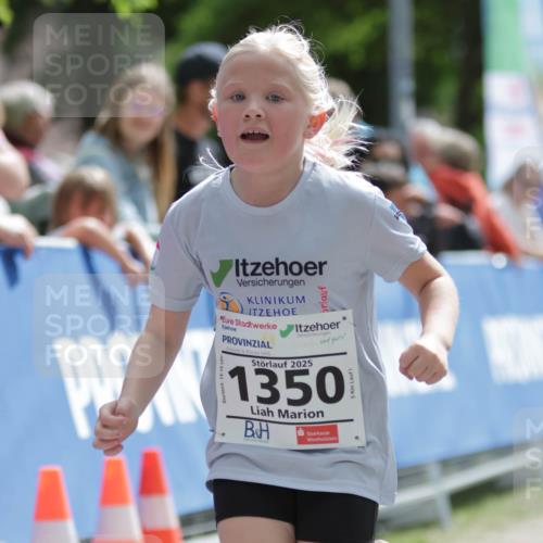 17.05.2025 - Störlauf H.Heesch http://msf.ph/oto/7899399 17.05.2025 15:04:50 Ziel 2025, 1350 meine-sportfotos.de