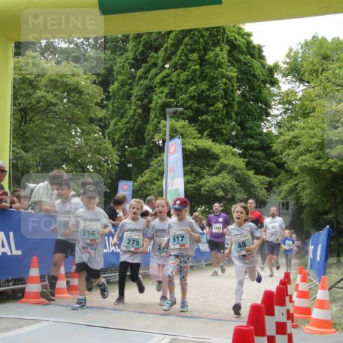 17.05.2025 - Störlauf H.Heesch http://msf.ph/oto/7899545 17.05.2025 13:45:24 Ziel 316, 279, 317 meine-sportfotos.de