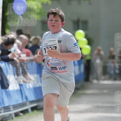 17.05.2025 - Störlauf H.Heesch http://msf.ph/oto/7899744 17.05.2025 15:09:25 Ziel 2025 meine-sportfotos.de