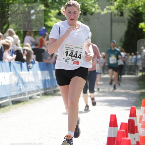 17.05.2025 - Störlauf H.Heesch http://msf.ph/oto/7899795 17.05.2025 14:48:09 Ziel 2025, 31, 5, 2025, 1444 meine-sportfotos.de