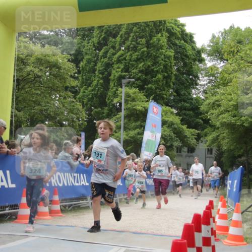 17.05.2025 - Störlauf H.Heesch http://msf.ph/oto/7899833 17.05.2025 13:46:12 Ziel 324 meine-sportfotos.de