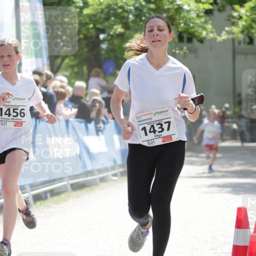 17.05.2025 - Störlauf H.Heesch http://msf.ph/oto/7899865 17.05.2025 14:48:16 Ziel 2025, 1456, 2025, 1437 meine-sportfotos.de