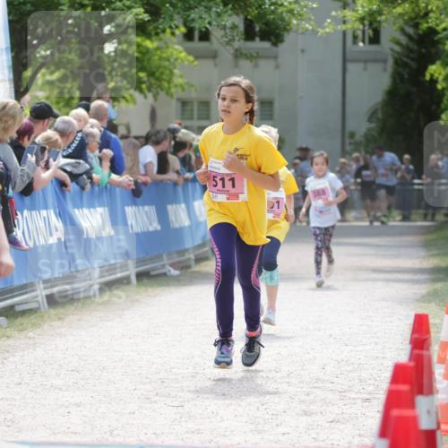 17.05.2025 - Störlauf H.Heesch http://msf.ph/oto/7899935 17.05.2025 14:00:06 Ziel 490, 511, 388 meine-sportfotos.de