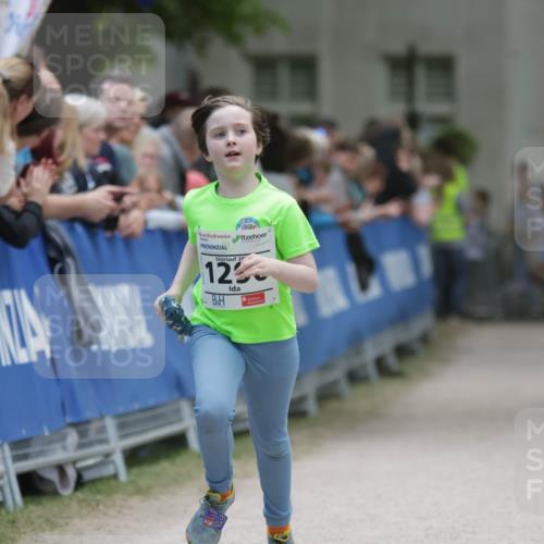 17.05.2025 - Störlauf H.Heesch http://msf.ph/oto/7899948 17.05.2025 15:17:59 Ziel 20, 12 meine-sportfotos.de