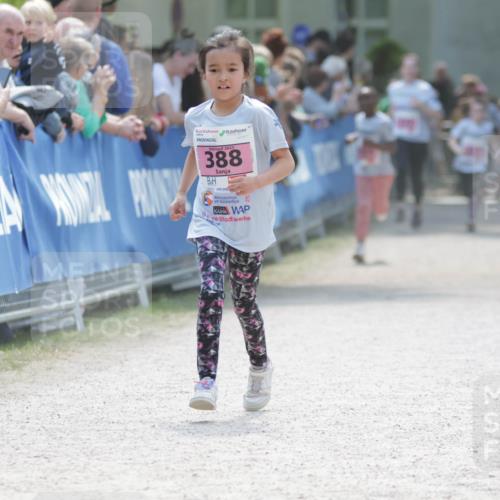 17.05.2025 - Störlauf H.Heesch http://msf.ph/oto/7899951 17.05.2025 14:00:08 Ziel 2025, 388, 25 meine-sportfotos.de