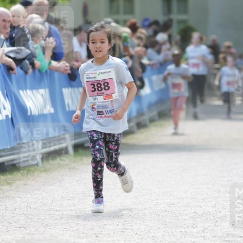 17.05.2025 - Störlauf H.Heesch http://msf.ph/oto/7899956 17.05.2025 14:00:08 Ziel 2025, 388, 25 meine-sportfotos.de