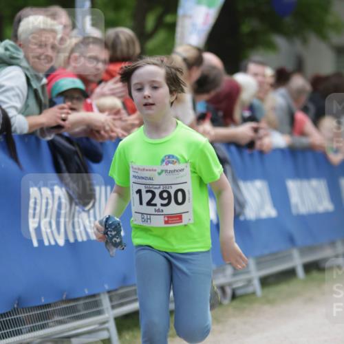 17.05.2025 - Störlauf H.Heesch http://msf.ph/oto/7899962 17.05.2025 15:17:59 Ziel 2025, 1290 meine-sportfotos.de