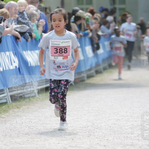 17.05.2025 - Störlauf H.Heesch http://msf.ph/oto/7899965 17.05.2025 14:00:09 Ziel 2025, 388, 25 meine-sportfotos.de