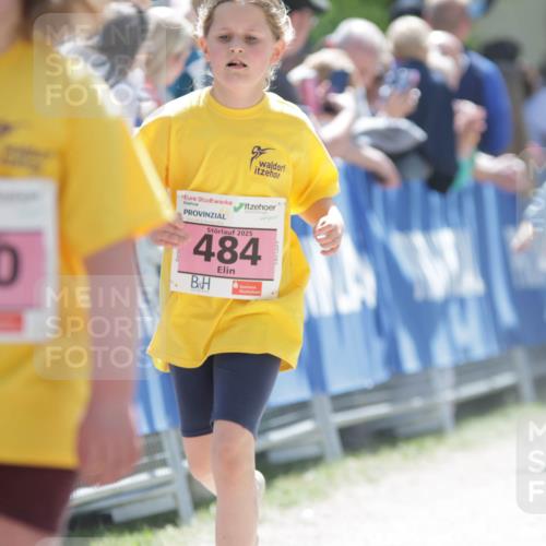 17.05.2025 - Störlauf H.Heesch http://msf.ph/oto/7900112 17.05.2025 14:01:07 Ziel 480, 2025, 484 meine-sportfotos.de