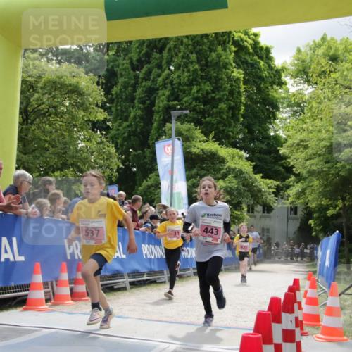 17.05.2025 - Störlauf H.Heesch http://msf.ph/oto/7900276 17.05.2025 13:56:16 Ziel 537, 443 meine-sportfotos.de