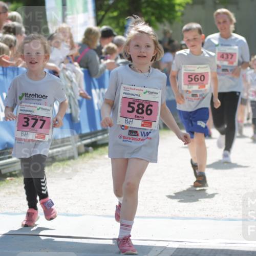 17.05.2025 - Störlauf H.Heesch http://msf.ph/oto/7900472 17.05.2025 14:02:18 Ziel 560, 25, 5, 2, 2025, 377, 2025, 586, 437 meine-sportfotos.de