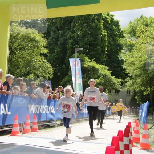 17.05.2025 - Störlauf H.Heesch http://msf.ph/oto/7900652 17.05.2025 13:58:16 Ziel 463 meine-sportfotos.de