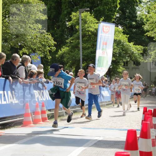 17.05.2025 - Störlauf H.Heesch http://msf.ph/oto/7900708 17.05.2025 14:50:42 Ziel 3, 1302, 147, 14, 2184, 1236 meine-sportfotos.de