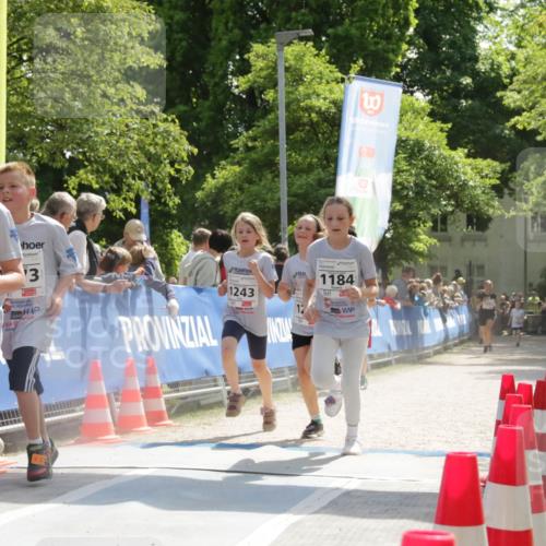 17.05.2025 - Störlauf H.Heesch http://msf.ph/oto/7900716 17.05.2025 14:50:43 Ziel 20, 127, 3, 1243, 1184 meine-sportfotos.de