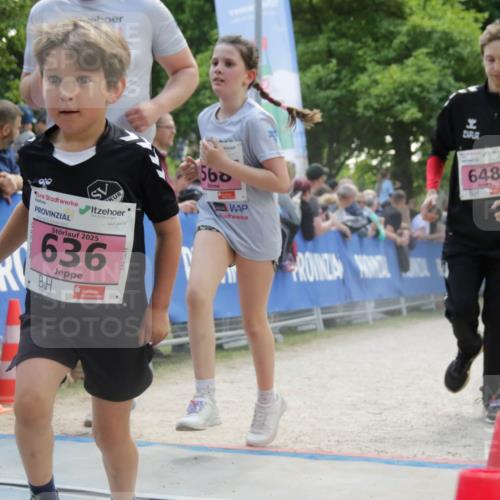 17.05.2025 - Störlauf H.Heesch http://msf.ph/oto/7900780 17.05.2025 13:59:36 Ziel 2025, 636, 560, 648 meine-sportfotos.de