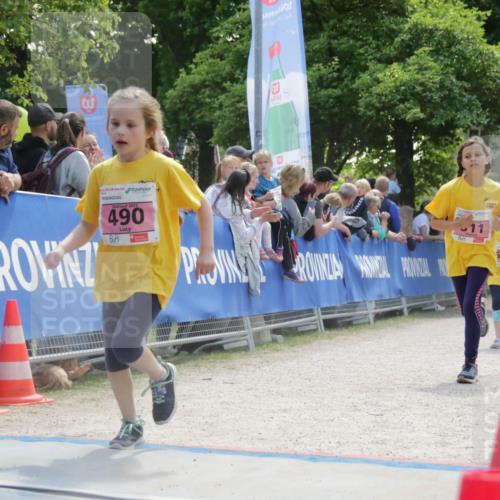 17.05.2025 - Störlauf H.Heesch http://msf.ph/oto/7900802 17.05.2025 14:00:04 Ziel 2025, 490, 11, 388, 501 meine-sportfotos.de