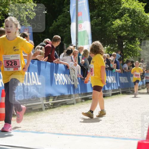 17.05.2025 - Störlauf H.Heesch http://msf.ph/oto/7900879 17.05.2025 14:01:04 Ziel 19, 9, 9091, 20, 2025, 528, 484 meine-sportfotos.de