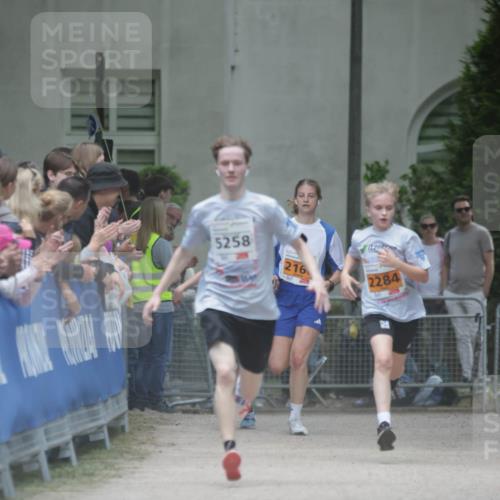 17.05.2025 - Störlauf H.Heesch http://msf.ph/oto/7901382 17.05.2025 15:25:34 Ziel 5258, 216, 2284 meine-sportfotos.de