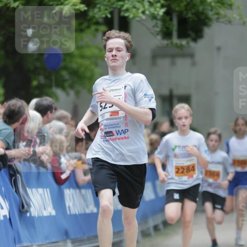 17.05.2025 - Störlauf H.Heesch http://msf.ph/oto/7901396 17.05.2025 15:25:37 Ziel 52, 2284, 2366 meine-sportfotos.de