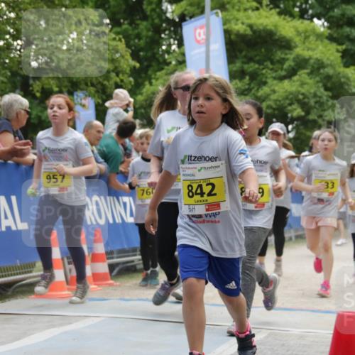 17.05.2025 - Störlauf H.Heesch http://msf.ph/oto/7901697 17.05.2025 14:14:36 Ziel 957, 76, 2025, 842, 33, 09 meine-sportfotos.de