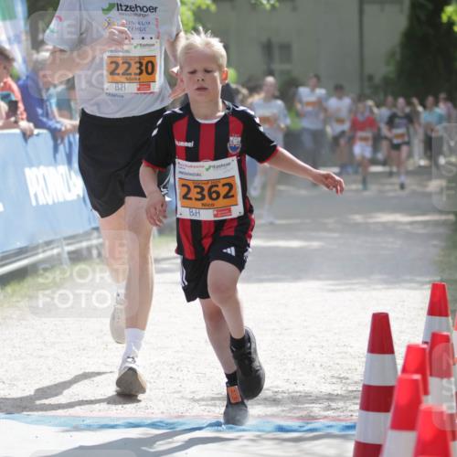 17.05.2025 - Störlauf H.Heesch http://msf.ph/oto/7901964 17.05.2025 15:28:17 Ziel 2025, 2230, 2025, 2362 meine-sportfotos.de