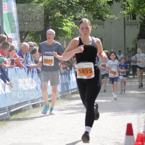 17.05.2025 - Störlauf H.Heesch http://msf.ph/oto/7902066 17.05.2025 15:28:32 Ziel 2, 2247, 1855, 192, 2144, 1867 meine-sportfotos.de