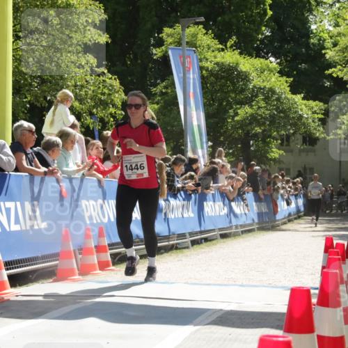 17.05.2025 - Störlauf H.Heesch http://msf.ph/oto/7902171 17.05.2025 14:42:57 Ziel 1446 meine-sportfotos.de