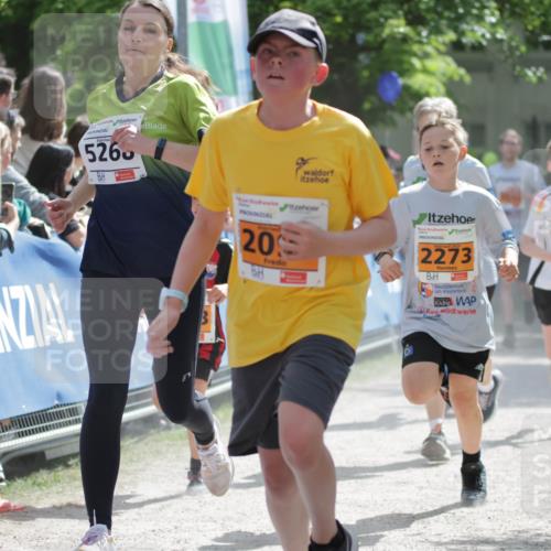 17.05.2025 - Störlauf H.Heesch http://msf.ph/oto/7902221 17.05.2025 15:28:57 Ziel 5260, 20, 2025, 2273, 1908 meine-sportfotos.de